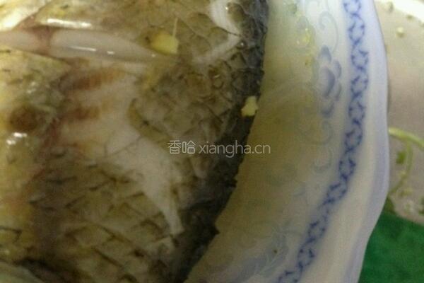 清蒸鳊鱼的做法图解5