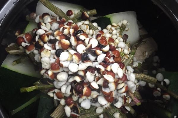 鲜石斛煲冬瓜薏米芡实汤的做法图解6