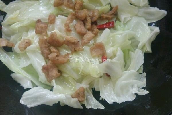 油渣莲白的做法图解3
