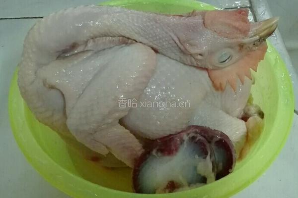 三杯鸡的做法图解1