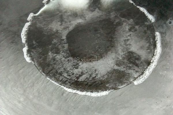 椰汁布丁西米露的做法图解2
