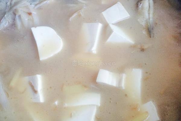 野生鲫鱼煨豆腐的做法图解5