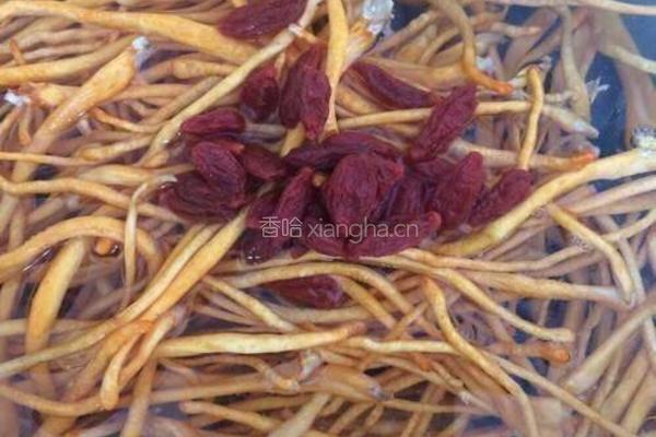 虫草花炖乌鸡的做法图解3