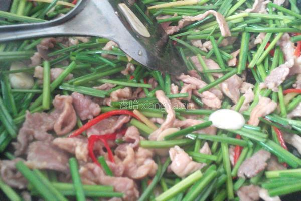 韭菜花炒肉的做法图解7
