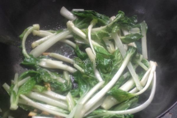 蒜蓉青菜的做法图解3