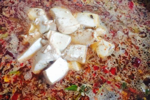麻辣豆腐炖冬瓜的做法图解7