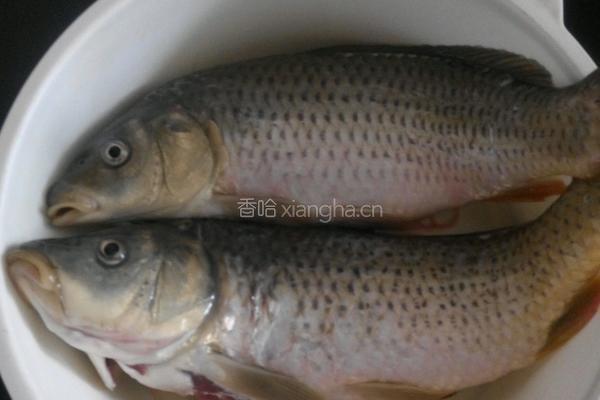 鲤鱼炖豆腐的做法图解1