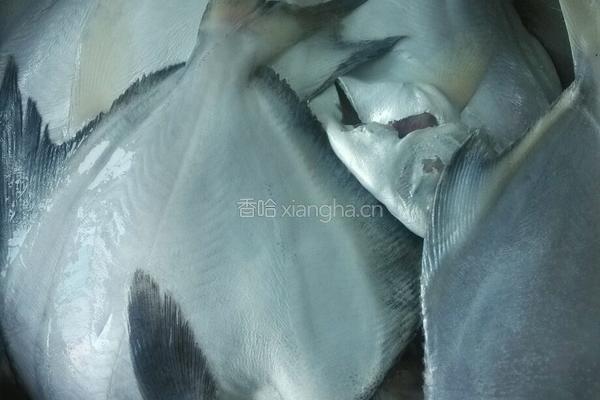 炸鱼的做法图解1