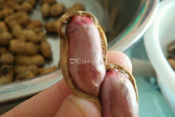煮五香花生的做法图解5