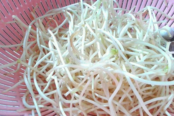 凉拌脆爽黄豆芽的做法图解1