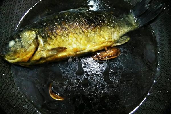 鲫鱼塞肉的做法图解14