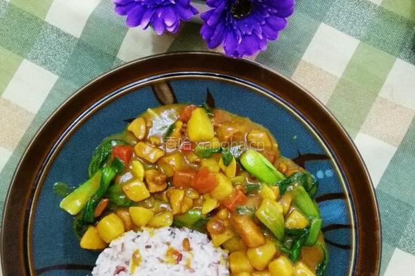 咖喱鸡块饭菜谱的做法图解7