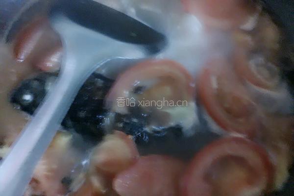 西红柿鲫鱼汤的做法图解8