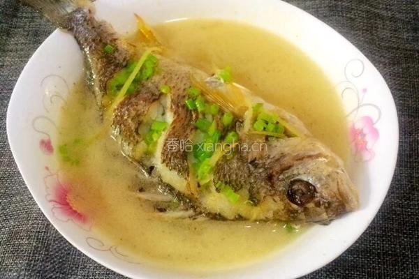 鲜美黄鳍鲷汤