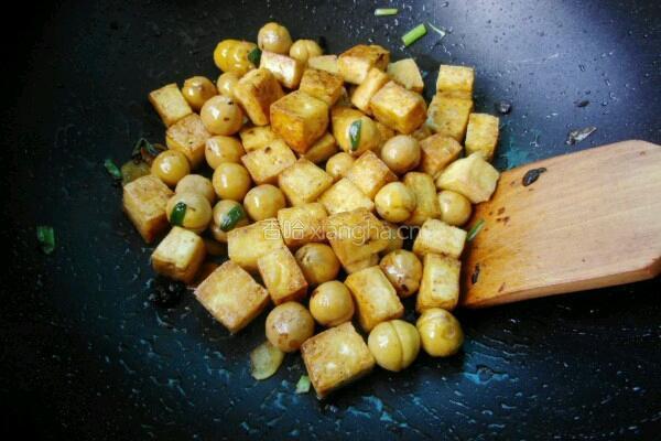 栗子烧豆腐的做法图解7