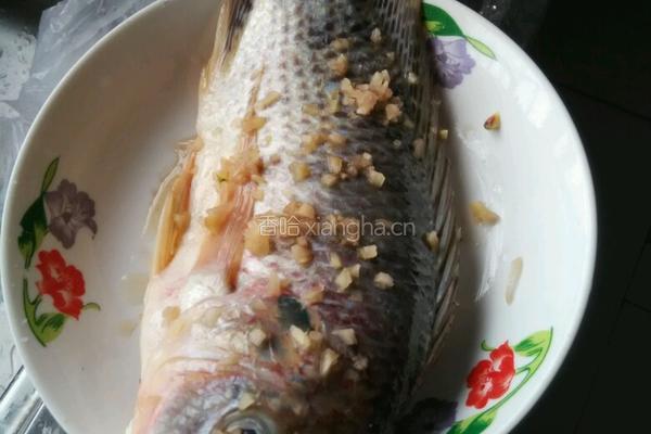 江鱼清蒸的做法图解5