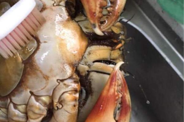 清蒸膏蟹的做法图解2