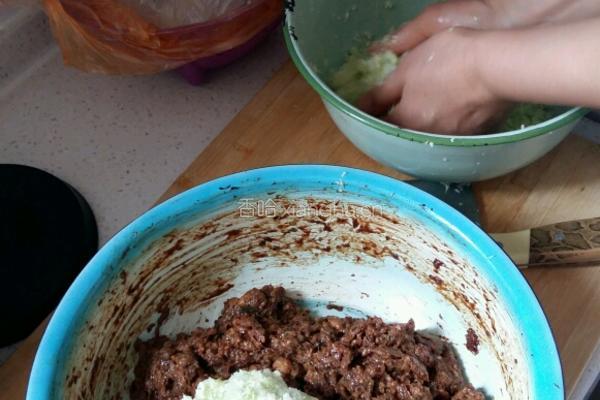猪肉大葱饺子馅的做法图解7