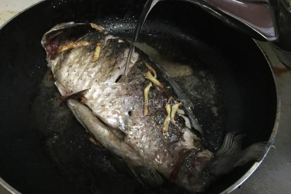 鲫鱼豆腐汤的做法图解11