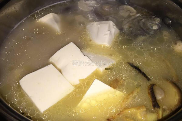 鲫鱼豆腐汤的做法图解14
