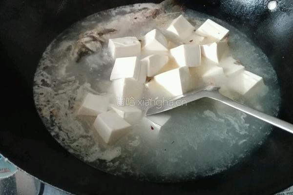白豆腐鲫鱼汤的做法图解8
