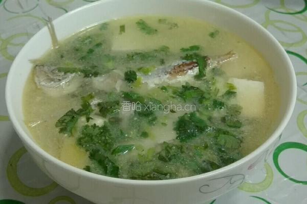鲜鱼豆腐汤的做法图解8