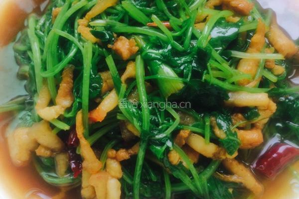 芹菜苗炒肉丝的做法图解8