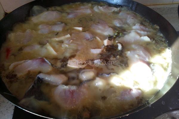 酸菜豆腐鱼的做法图解5