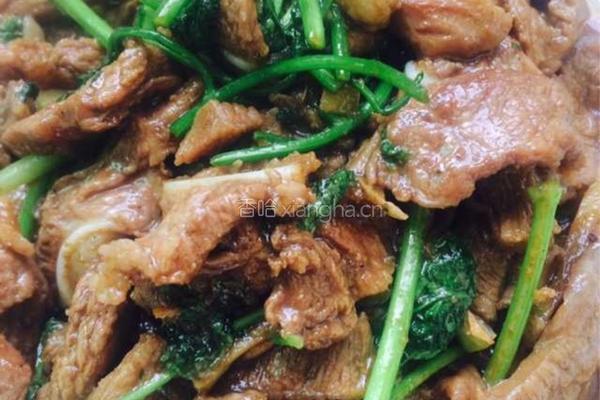 香菜羊肉的做法图解6