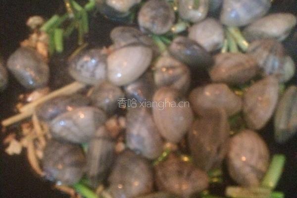 爆炒花蛤的做法图解4