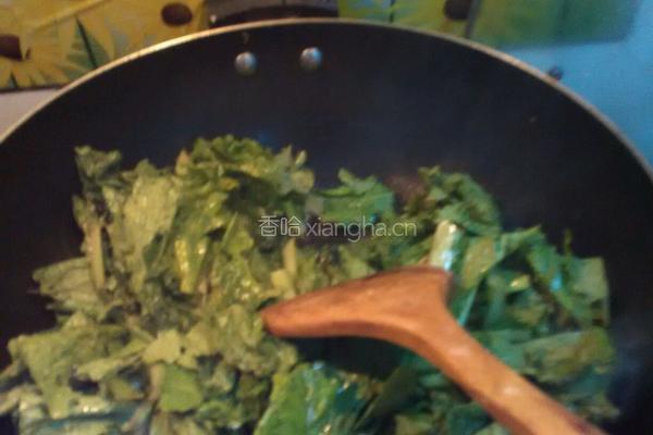 小白菜炖豆腐的做法图解4