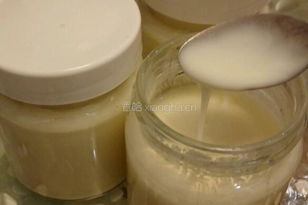 幼儿配方奶粉自制美味酸奶的做法图解3