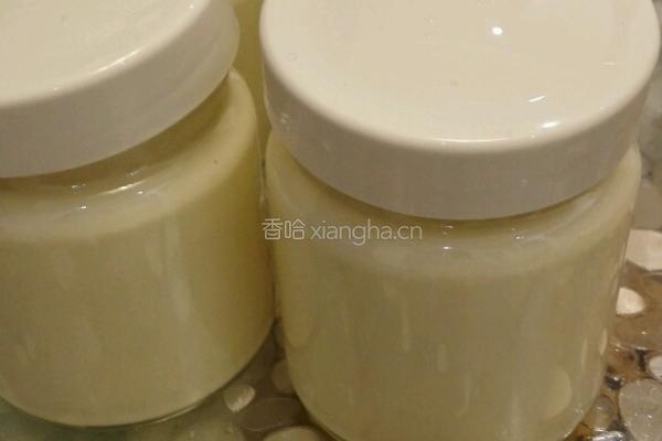幼儿配方奶粉自制美味酸奶的做法图解2