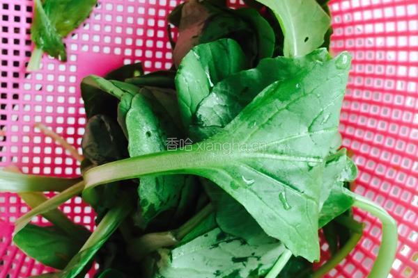 冬瓜虾皮紫菜汤的做法图解2