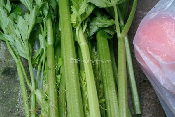 芹菜胡萝卜炒粉条的做法图解1