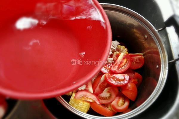 蕃茄玉米排骨汤的做法图解5