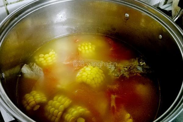 蕃茄玉米排骨汤的做法图解7