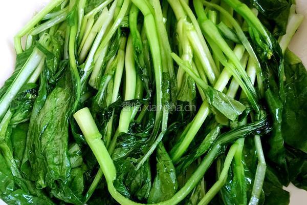 水煮肉片的做法图解4