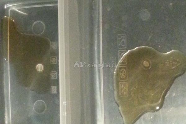 阿胶固元膏的做法图解8