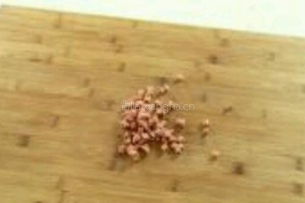 开心土豆泥的做法图解1