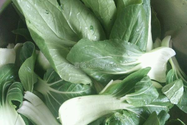 油菜炖豆腐的做法图解1
