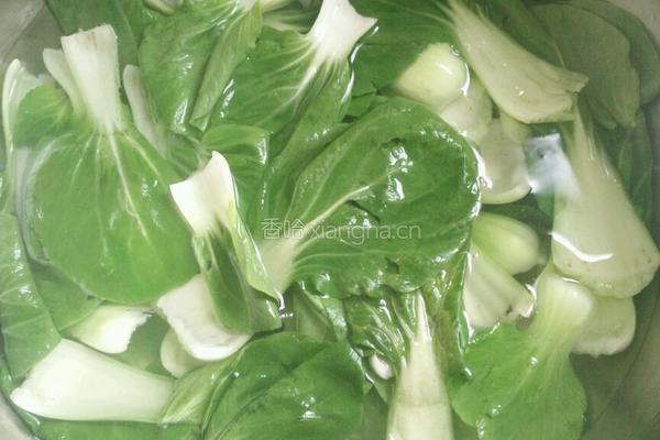 油菜炖豆腐的做法图解4