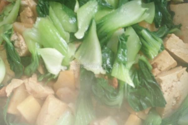 油菜炖豆腐的做法图解10