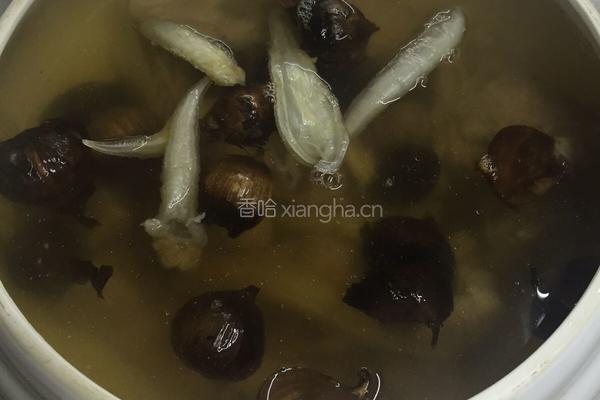 花胶黑蒜炖排骨的做法图解5