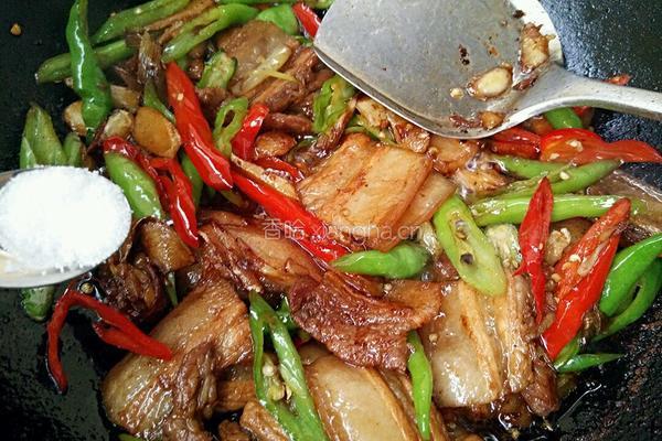 农家小炒肉的做法图解11