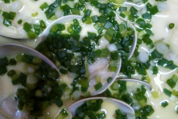 车螺蒸蛋的做法图解5