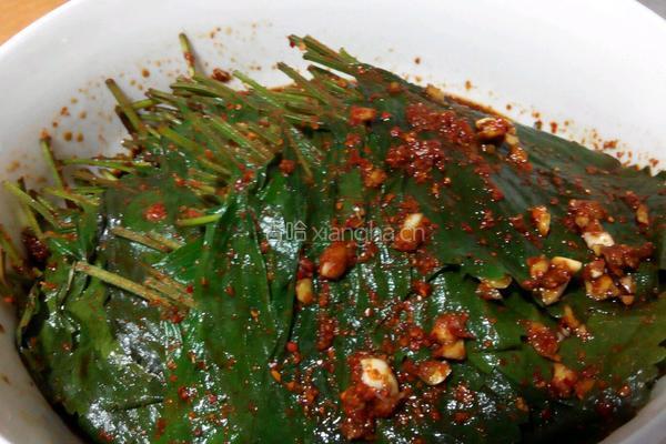 苏子叶咸菜的做法图解11