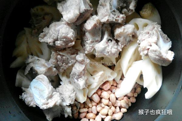 莲藕花生骨头汤的做法图解4