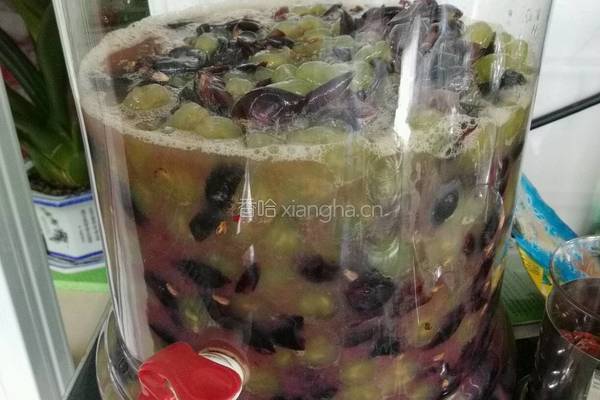 酿葡萄酒的做法图解6
