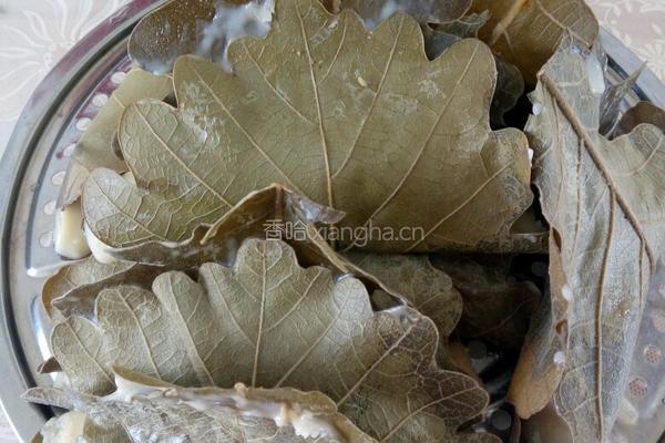 玻璃叶饼（柞树叶饼）